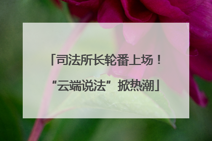 司法所长轮番上场！“云端说法”掀热潮